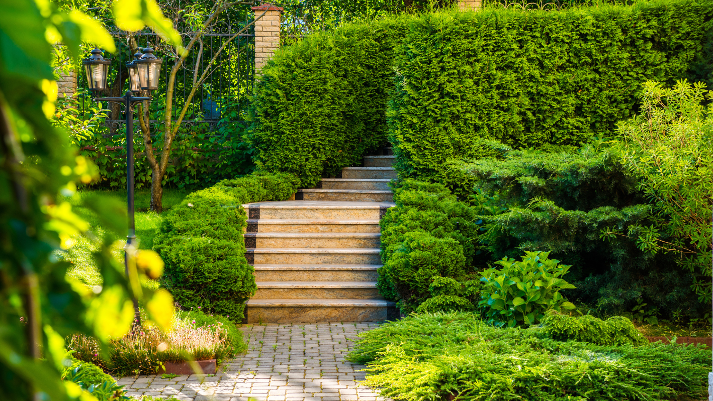 A set of steps leading up to a lush green garden